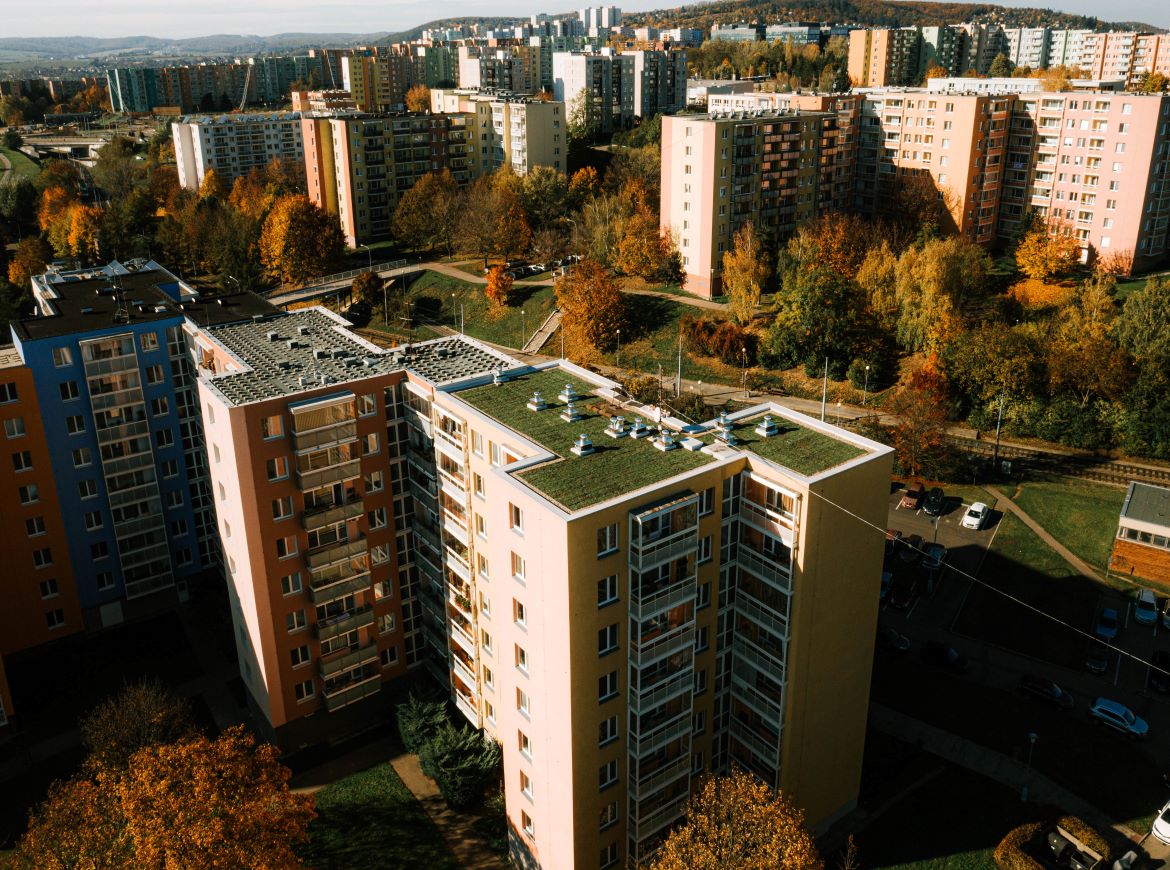 Zelené střechy v Brně jedou. Sklízí jeden úspěch za druhým.